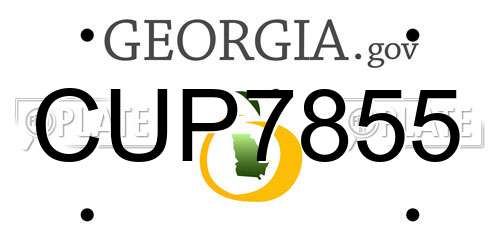 CUP7855 Georgia License Plate