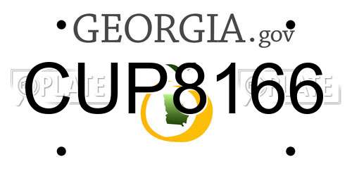 CUP8166 Georgia License Plate