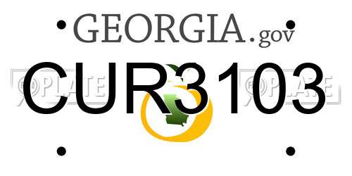 CUR3103 Georgia License Plate