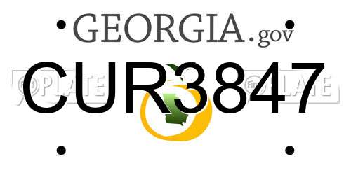 CUR3847 Georgia License Plate