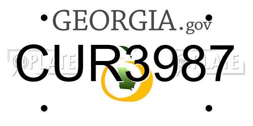 CUR3987 Georgia License Plate