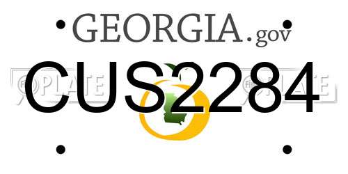 CUS2284 Georgia License Plate