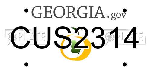 CUS2314 Georgia License Plate
