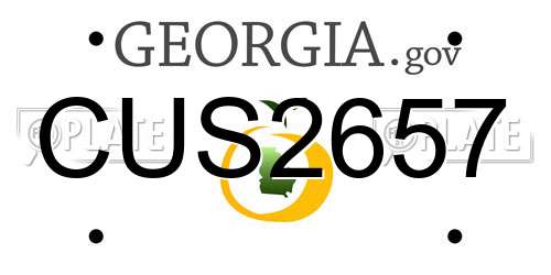 CUS2657 Georgia License Plate