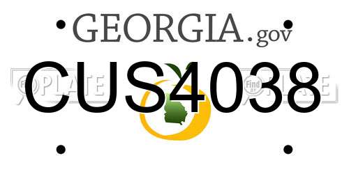 CUS4038 Georgia License Plate