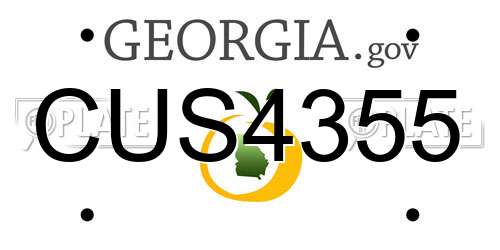 CUS4355 Georgia License Plate