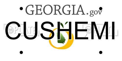 CUSHEMI Georgia License Plate