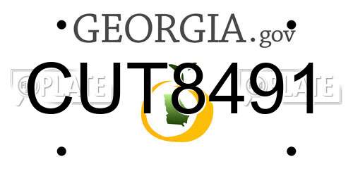 CUT8491 Georgia License Plate