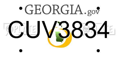 CUV3834 Georgia License Plate