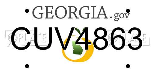 CUV4863 Georgia License Plate