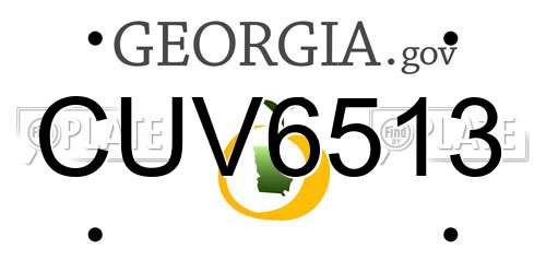 CUV6513 Georgia License Plate