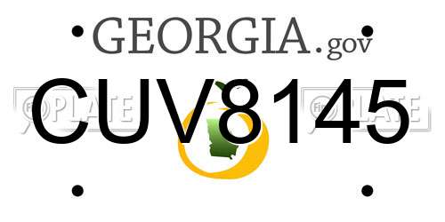 CUV8145 Georgia License Plate