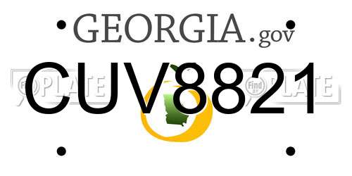 CUV8821 Georgia License Plate