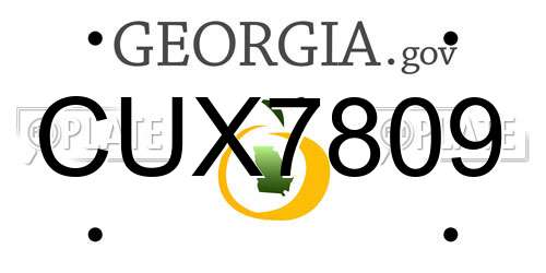 CUX7809 Georgia License Plate