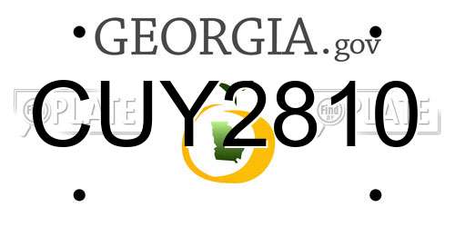 CUY2810 Georgia License Plate