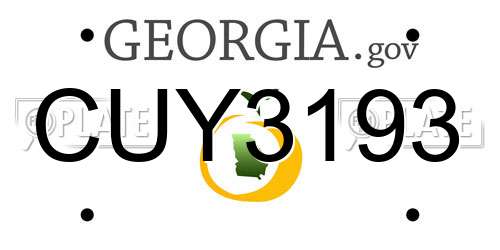 CUY3193 Georgia License Plate