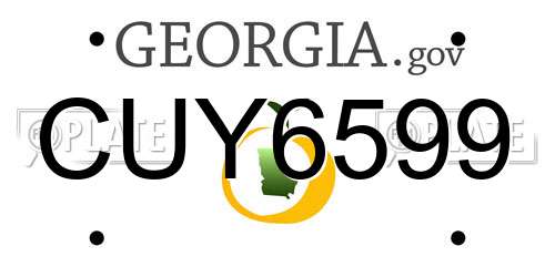 CUY6599 Georgia License Plate