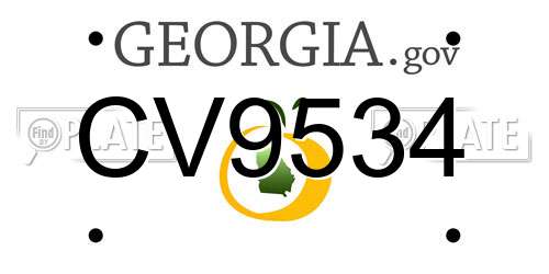 CV9534 Georgia License Plate