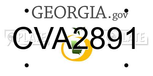 CVA2891 Georgia License Plate