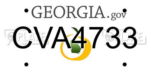 CVA4733 Georgia License Plate