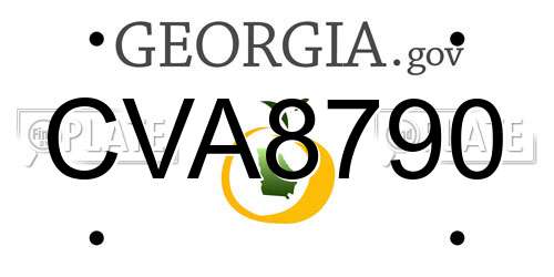 CVA8790 Georgia License Plate