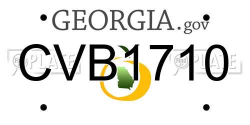CVB1710 Georgia License Plate