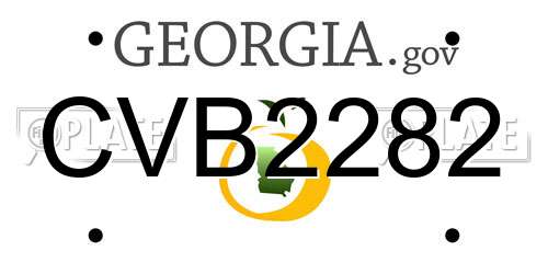 CVB2282 Georgia License Plate
