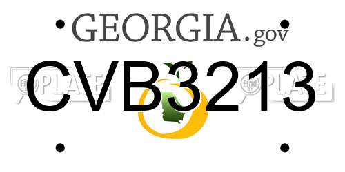 CVB3213 Georgia License Plate