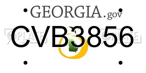 CVB3856 Georgia License Plate