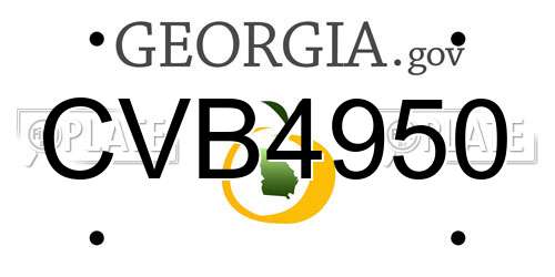 CVB4950 Georgia License Plate