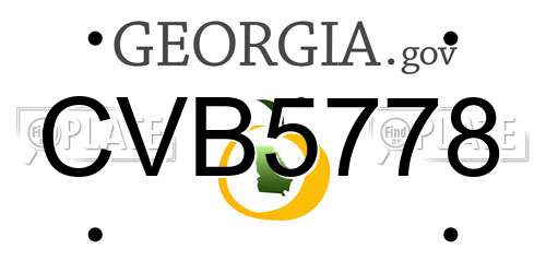 CVB5778 Georgia License Plate