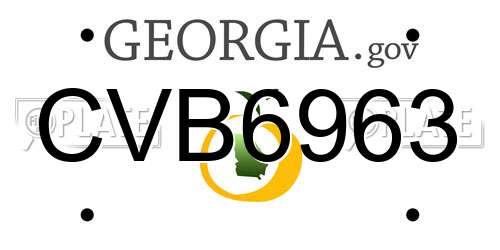 CVB6963 Georgia License Plate