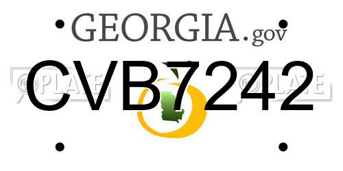 CVB7242 Georgia License Plate