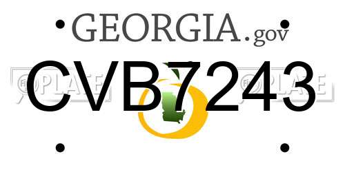 CVB7243 Georgia License Plate