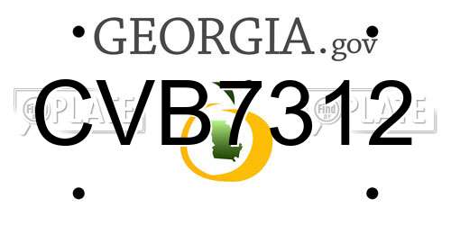 CVB7312 Georgia License Plate
