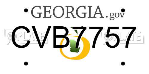 CVB7757 Georgia License Plate