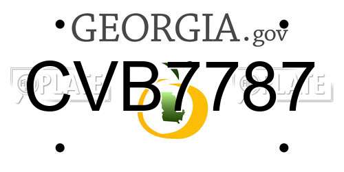 CVB7787 Georgia License Plate