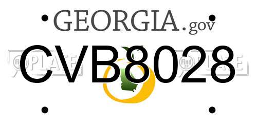 CVB8028 Georgia License Plate