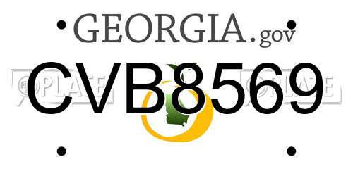 CVB8569 Georgia License Plate