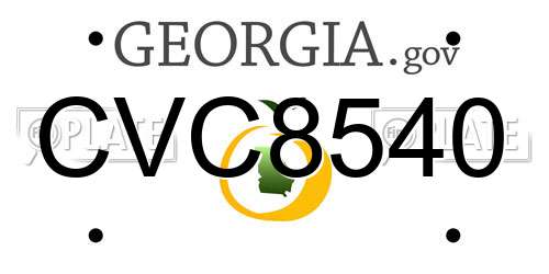 CVC8540 Georgia License Plate