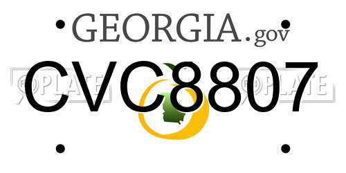 CVC8807 Georgia License Plate