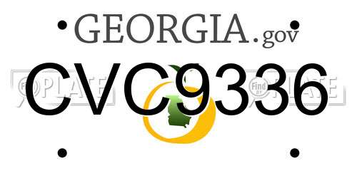CVC9336 Georgia License Plate