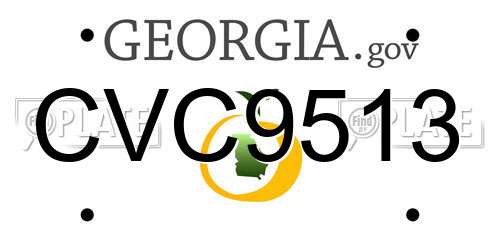 CVC9513 Georgia License Plate