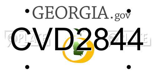 CVD2844 Georgia License Plate