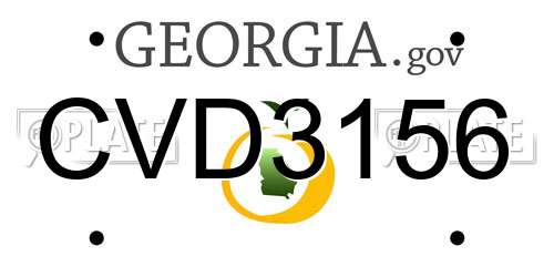 CVD3156 Georgia License Plate