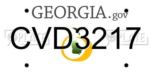 CVD3217 Georgia License Plate