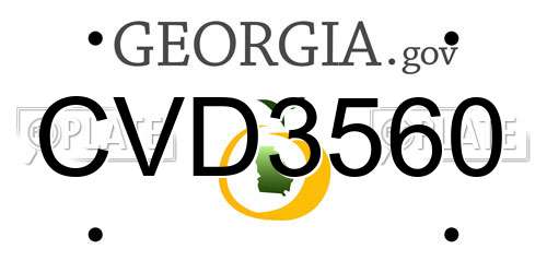 CVD3560 Georgia License Plate