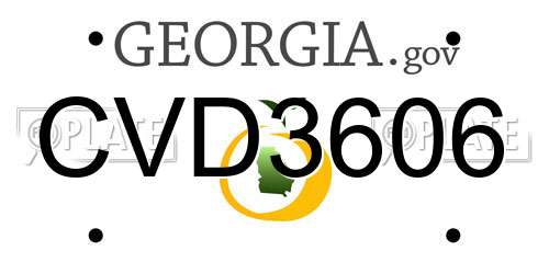 CVD3606 Georgia License Plate