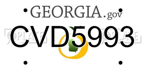 CVD5993 Georgia License Plate