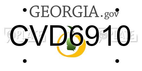 CVD6910 Georgia License Plate